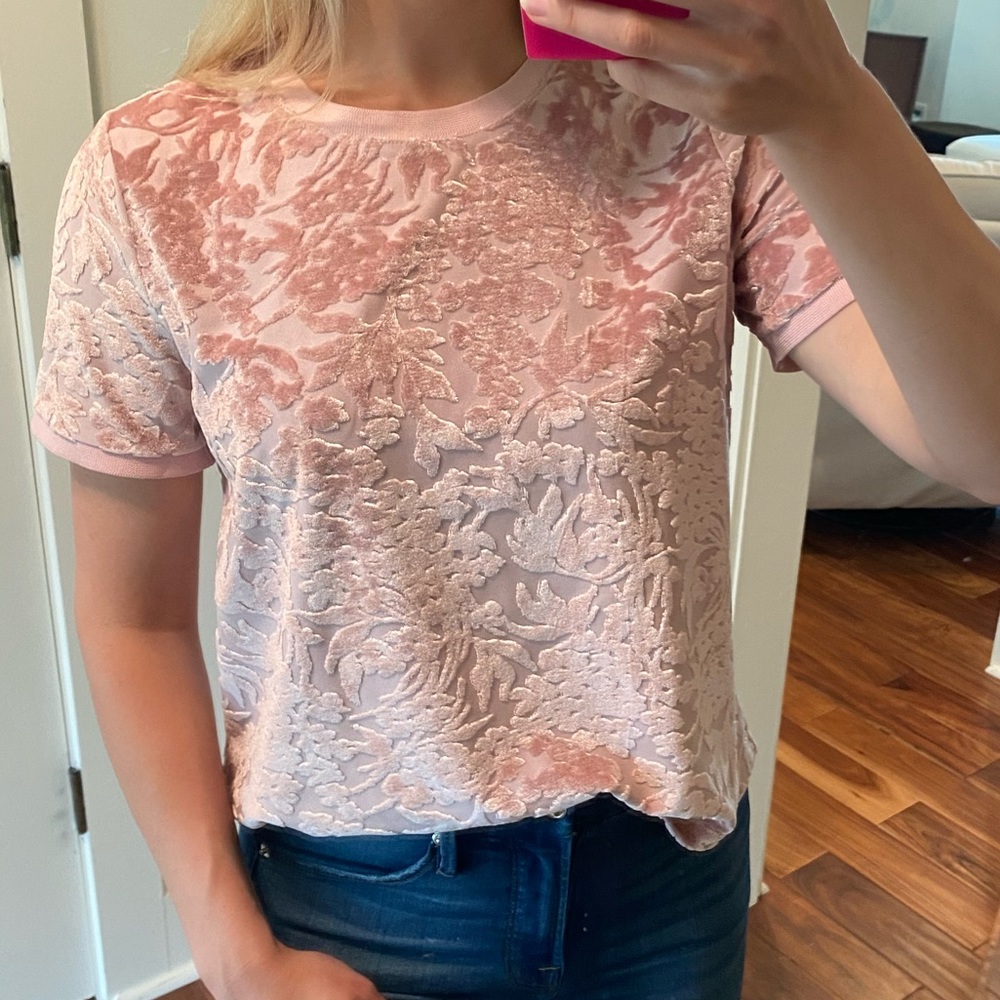 Velvet Blouse